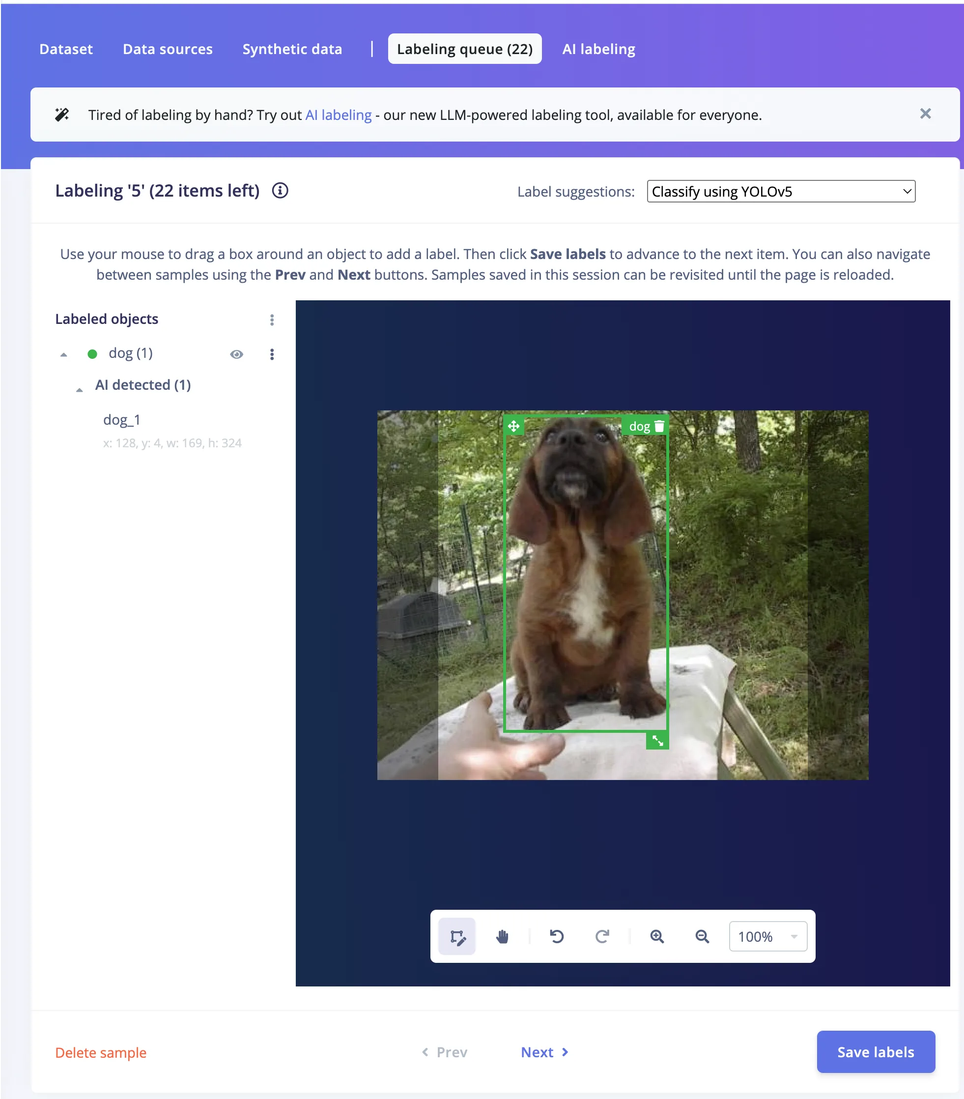 Labeling queue with YOLOv5 suggesting a box around a dog